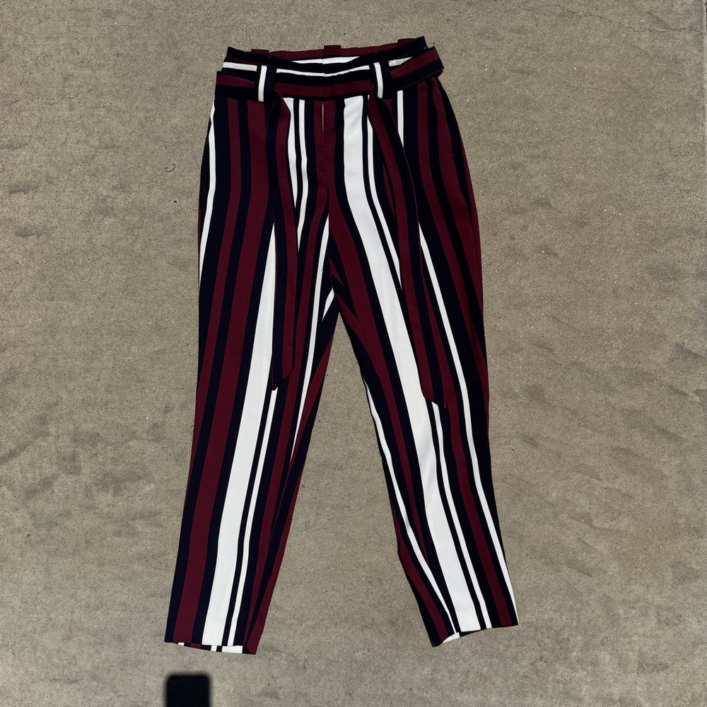 Express Multicolor Striped Trouser Pants